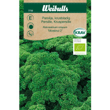 Kruspersille 'Moskrul 2' økologisk